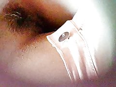 Валерист beatuful йәш волосатый киске